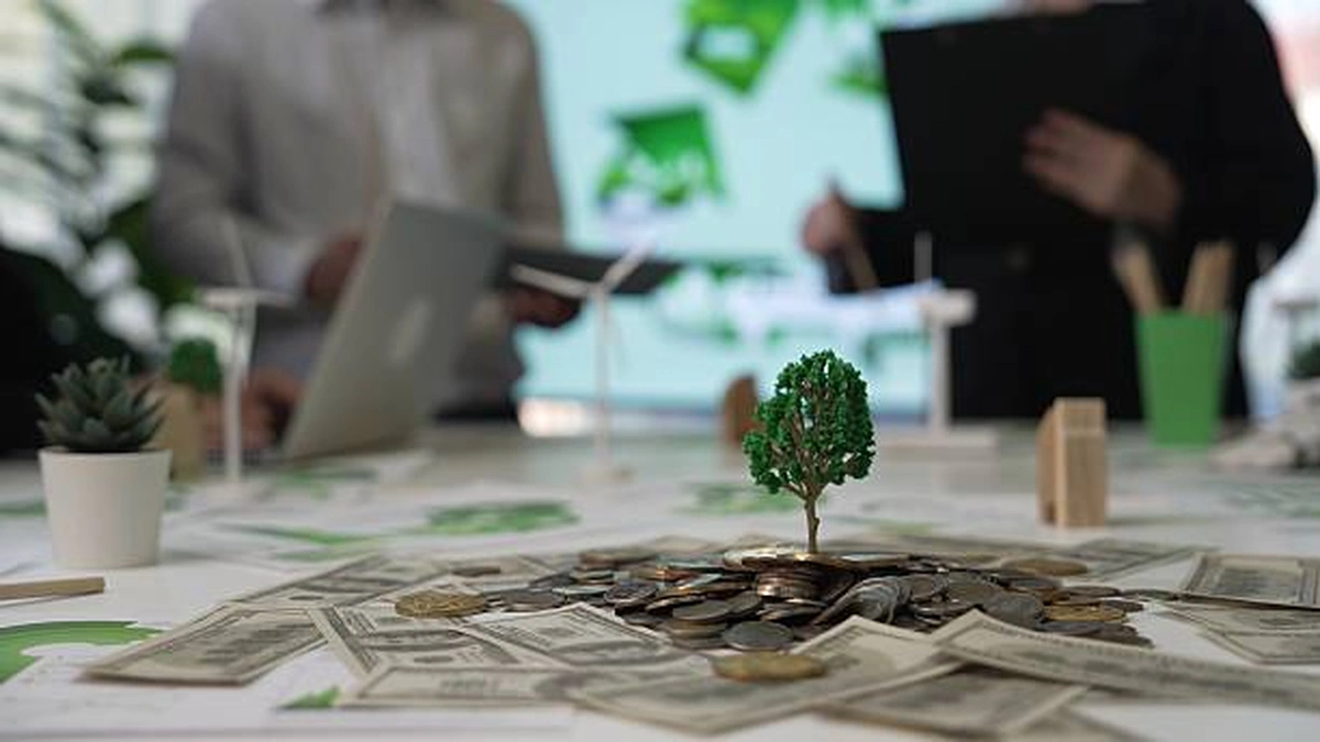 Financial Instruments for Green Economy Investments Training Course